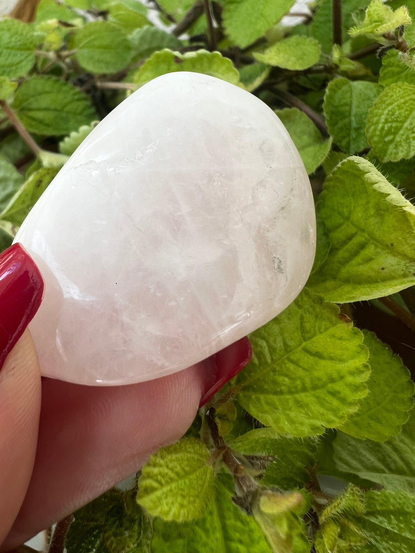 Cristal | Quartzo Rosa