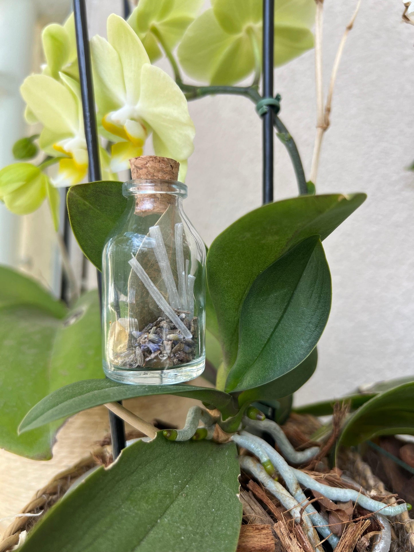 Amuleto | Ervas e Cristais