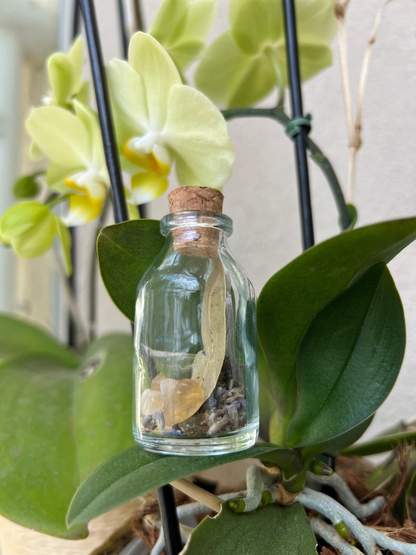 Amuleto | Ervas e Cristais